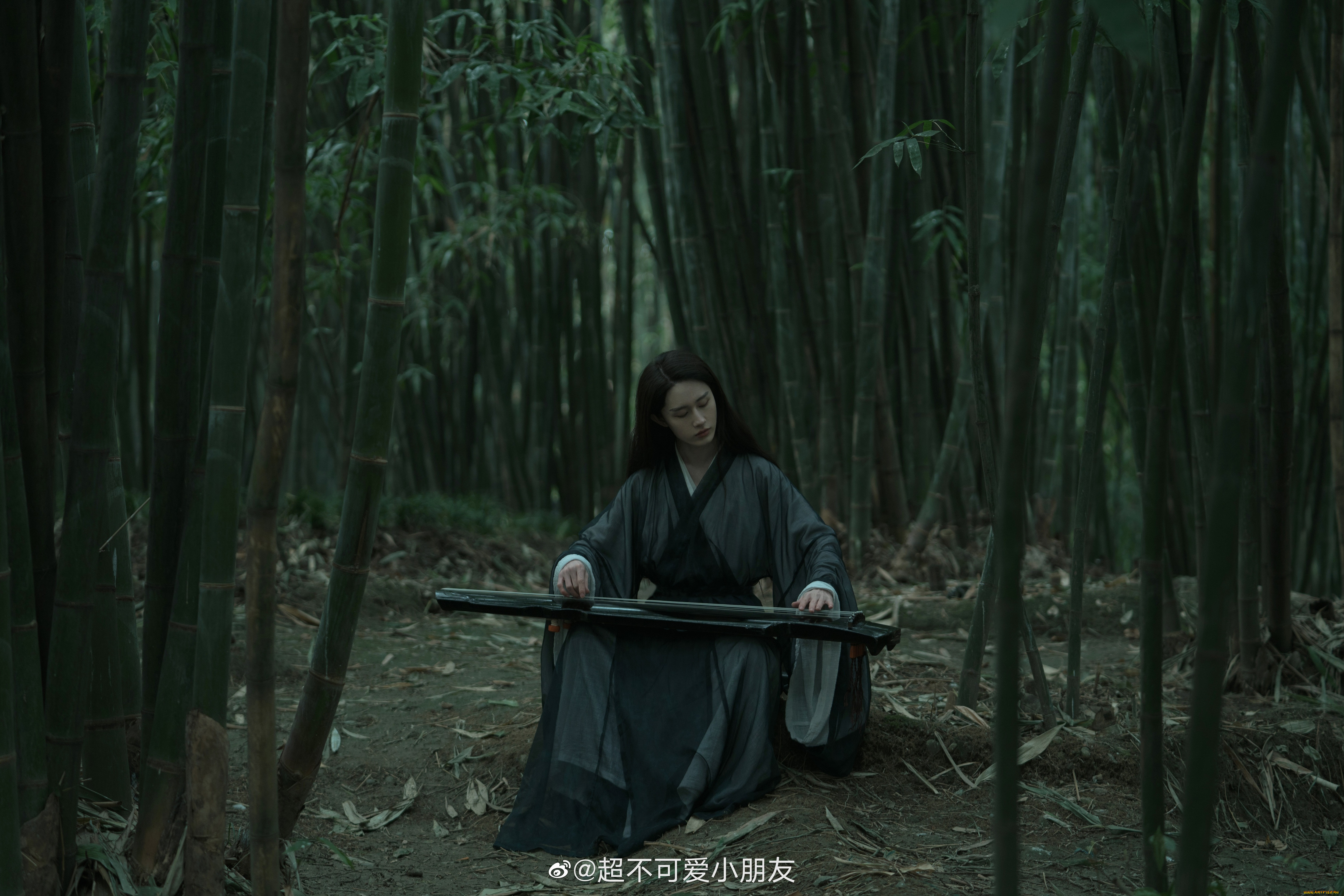 , tang shihao, tang, shihao, , 